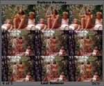 Barbara Hershey pictures, free nude celebrities, Barbara Her